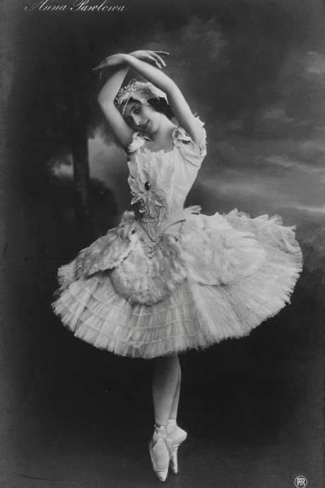 The Dying Swan